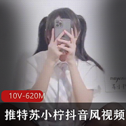 某推反差婊（苏小柠）抖音风合集