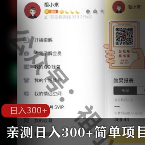 亲测日入300+的简单项目全教程