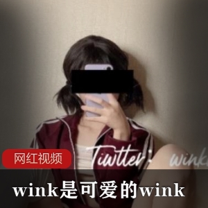 推特网红Wink的可爱作品合集