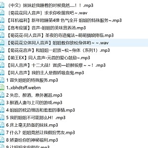 雷电将军x那地方花合集：34部mp3，1.4G，百度盘下载